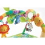 Lavinimo kilimėlis Fisher Price Rainforest Melodies & Lights Deluxe