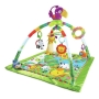 Lavinimo kilimėlis Fisher Price Rainforest Melodies & Lights Deluxe