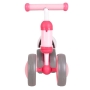 Mini paspirtukas - dviratukas First Bike Rose