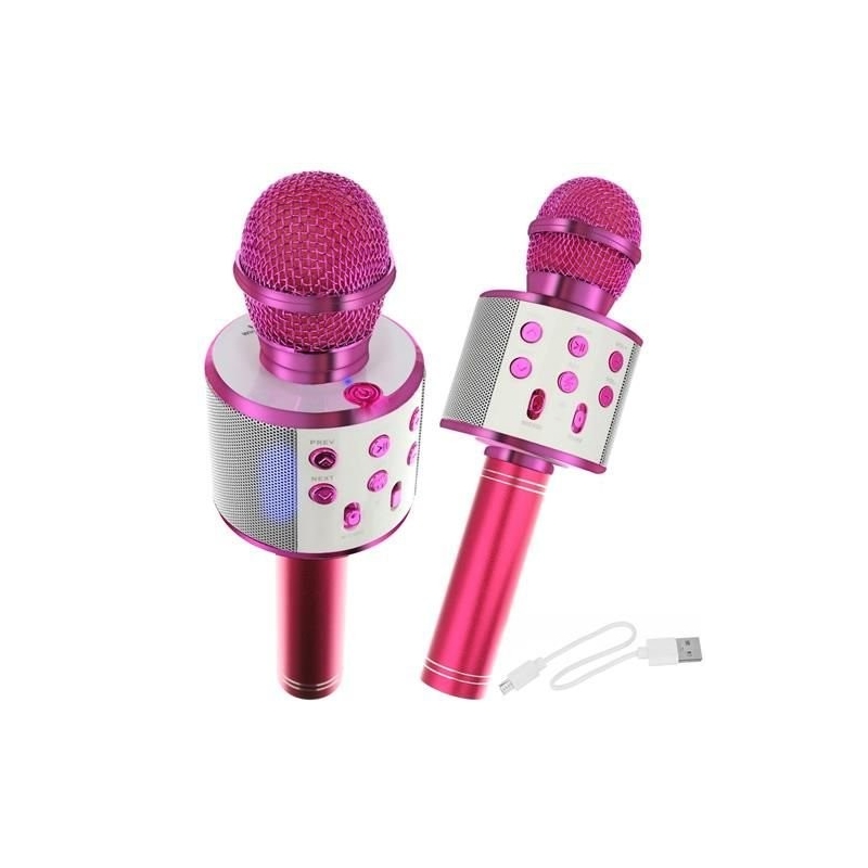 Mikrofonas - karaoke su balso keitimo funkcija Pink