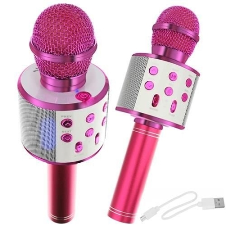 Mikrofonas - karaoke su įrašymo funkcija Pink