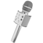 Mikrofonas - karaoke su balso keitimo funkcija Silver
