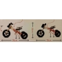 Medinis balansinis dviratukas Twist Sky 2in1