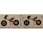 Medinis balansinis dviratukas Twist Sky 2in1
