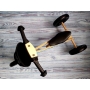 Medinis balansinis dviratukas Twist Sky 2in1