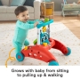 Fisher Price dvipusis stumdukas Steady Speed Walker