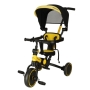 Daugiafunkcinis triratukas su rankena Trike Fix V4