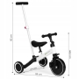 Triratukas su pedalais - balansinis dviratukas su rankena Ecotoys