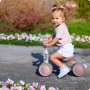 Triratis dviratukas be pedalų Rico Bunny