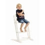 Maitinimo kėdutė BabyDan Danchair White