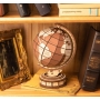 3D medinis konstruktorius Gaublys Global Wonders
