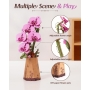 3D medinis Rowood konstruktorius Orchidėja