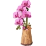 3D medinis konstruktorius Purple Moth Orchid