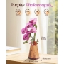 3D medinis Rowood konstruktorius Orchidėja