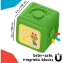 Baby Einstein didelės magnetinės kaladėlės Connectables