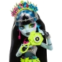 MONSTER HIGH lėlė Frankie Stein
