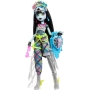 MONSTER HIGH lėlė Frankie Stein
