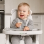 Multifunkcinė maitinimo kėdutė Teddy Grey 3in1