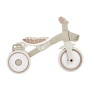 Globber Learning Trike PLUS mokomasis triratukas 2in1