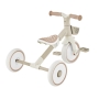 Globber Learning Trike PLUS mokomasis triratukas 2in1