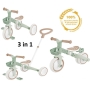 Globber Learning Trike Plus Ecologic 3in1