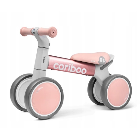Mini dviratukas Cariboo Team