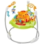 Fisher Price šokliukas Rainforest Jumperoo