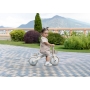 GLOBBER mokomasis triratukas Learning Trike 3in1 Plus