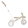 GLOBBER mokomasis triratukas Learning Trike 3in1 Plus