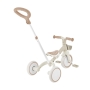 GLOBBER mokomasis triratukas Learning Trike 3in1 Plus
