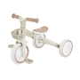 GLOBBER mokomasis triratukas Learning Trike 3in1 Plus