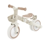 GLOBBER mokomasis triratukas Learning Trike 3in1 Plus