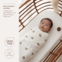 Vystyklas - kokonas kūdikiui MeyCo Baby Meškiukai (0-3 mėn.)