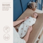 Vystyklas - kokonas kūdikiui MeyCo Baby Meškiukai (0-3 mėn.)