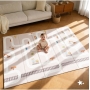 180x200 cm. dvipusis sulankstomas žaidimų kilimėlis Play Zone
