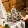 Miniatiūrinės oranžerijos 3D konstruktorius Botanikos sodas su LED apšvietimu