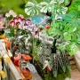 Miniatiūrinės oranžerijos 3D konstruktorius Botanikos sodas su LED apšvietimu