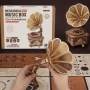 Mechaninis 3D konstruktorius Gramofonas su muzikine dėžute