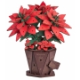 Rowood Poinsettia TF001